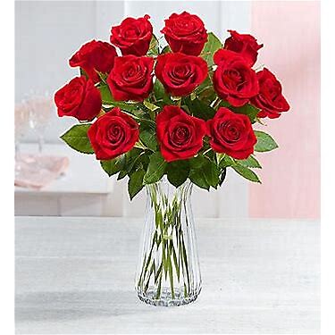 One Dozen Long Stem Red Roses