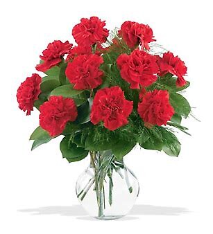 One Dozen Red Carnations