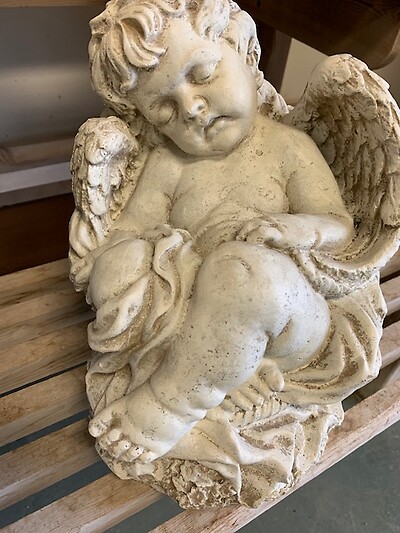 Cherub Angel