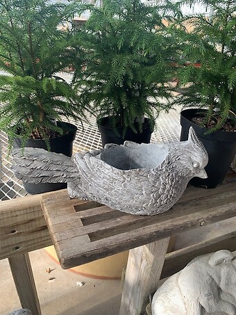 Cardinal Planter Small