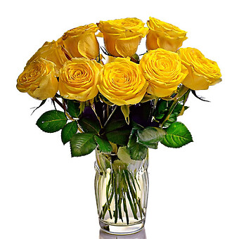 9 Yellow Roses