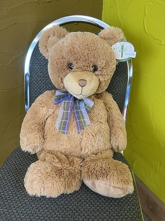 20&quot; Dean Bear