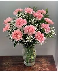 One Dozen Pink Carnations with Babies Breath