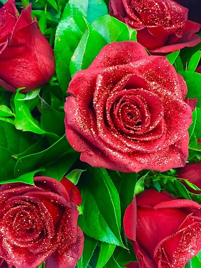 One Doz Sparkling Rose Bouquet