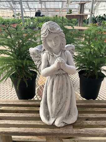 Back Bowl Angel-Medium