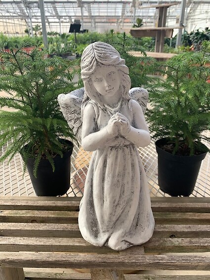 Back Bowl Angel-Medium