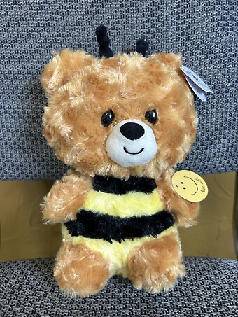 10” Bee Well Teddy Bear