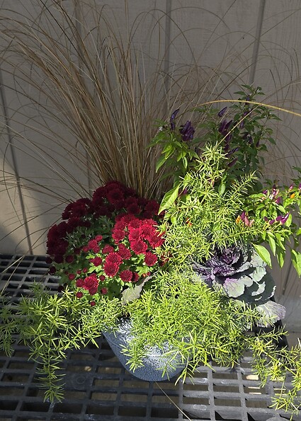 12” Fall Outdoor Combo Pot