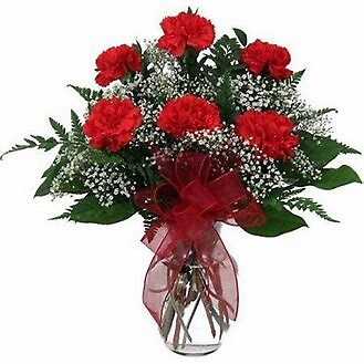 1/2 Dozen Red Carnations with Babies Breath