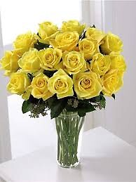 18 Yellow Roses