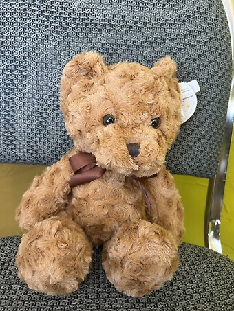 10&quot; Winston Bear