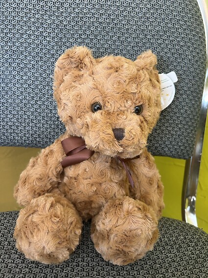 10&quot; Winston Bear