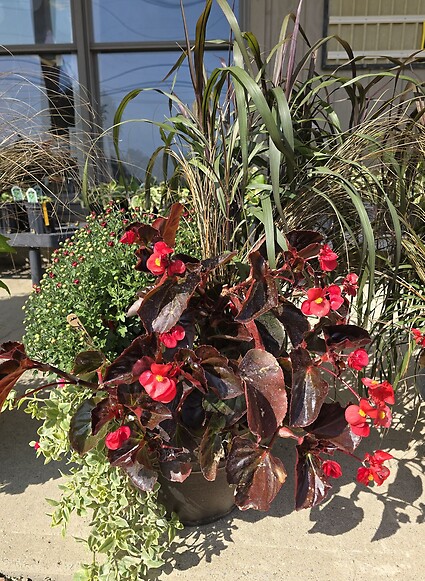 15” Fall Outdoor Combo Pot