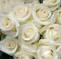 9 White Roses