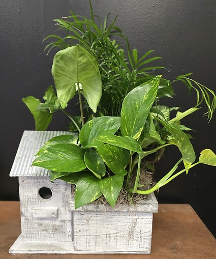 Birdhouse Planter