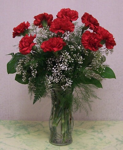 One Dozen Red Carnations with Babies Breath