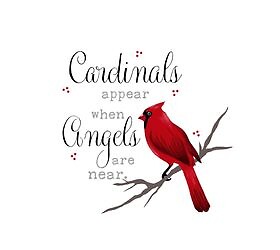 Cardinals Appear, 50&quot; x 60” Quilted Throw