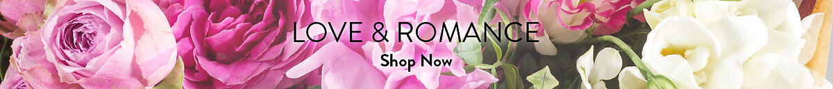 Love & Romance