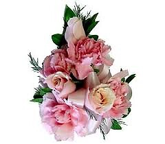 Pink Sweetheart Roses with Pink Mini Carnations Wrist Corsage